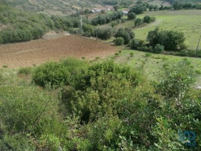 Acheter Terrain Mafra rgion LISBOA