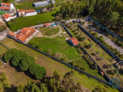 Acheter Maison Nazare rgion LEIRIA