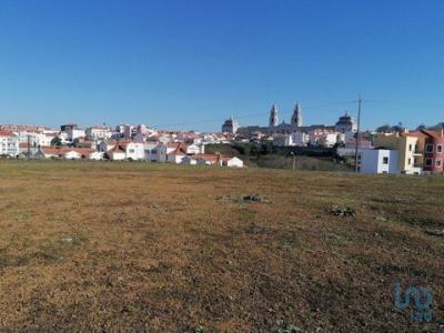 Acheter Terrain 15242 m2 Mafra