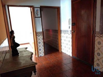 Annonce Vente Appartement Castelo-branco