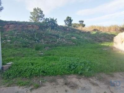 Acheter Terrain 496 m2 Amoreiras