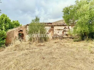 Acheter Maison Loule rgion FARO