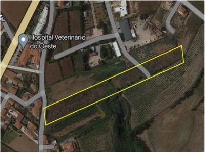 Acheter Terrain 7047 m2 Lourinha