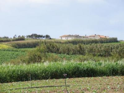 Acheter Terrain Lourinha rgion LISBOA