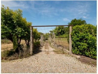 Vente Maison Maia NOGUEIRA-E-SILVA-ESCURA 13 au Portugal