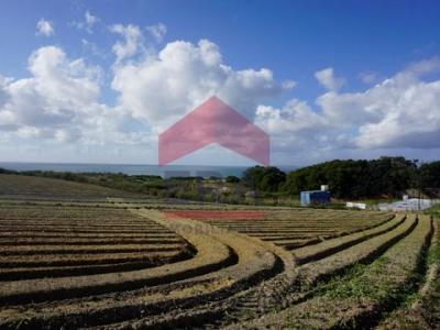 Acheter Terrain Peniche rgion LEIRIA