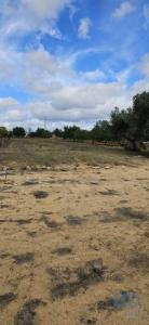 Annonce Vente Terrain Loule