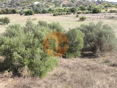 Acheter Terrain 680 m2 Castro-marim