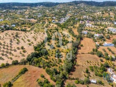 Acheter Terrain 10000 m2 Loule