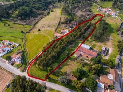 Annonce Vente Terrain Nazare