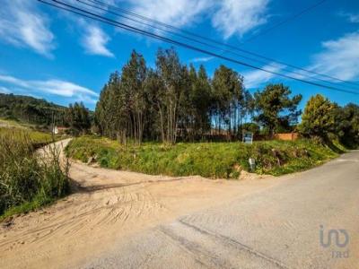 Acheter Terrain Nazare rgion LEIRIA