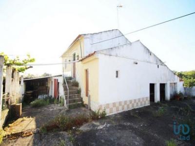 Vente Maison Alem-da-ribeira ALAM-DA-RIBEIRA-E-PEDREIRA 14 au Portugal