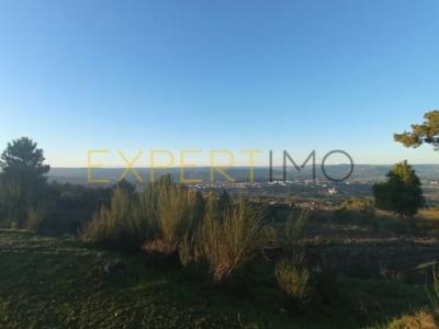 Annonce Vente Terrain Celorico-da-beira