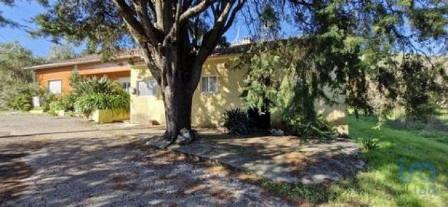 Vente Maison Rio-maior ALCOBERTAS 14 au Portugal