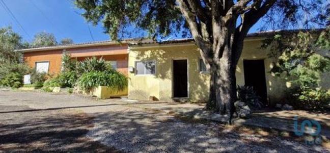 Annonce Vente Maison Rio-maior