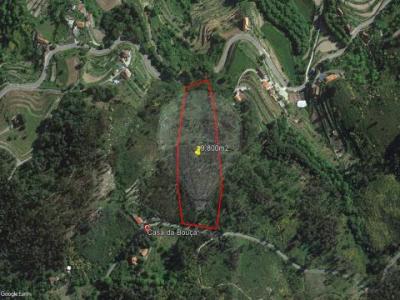 Acheter Terrain 9800 m2 Celorico-de-basto