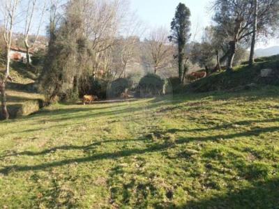 Acheter Terrain 12420 m2 Vieira-do-minho