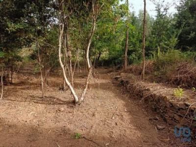 Annonce Vente Terrain Pedrogao-grande