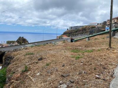 Acheter Terrain 1511 m2 Calheta