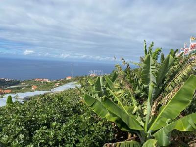 Annonce Vente Terrain Ponta-do-sol