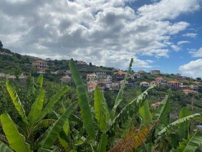 Acheter Terrain Ponta-do-sol rgion MADEIRA