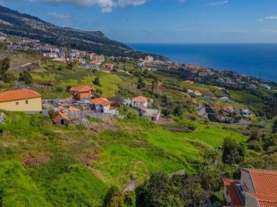 Acheter Terrain Calheta rgion MADEIRA