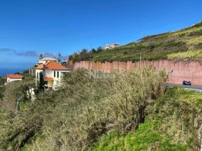 Annonce Vente Terrain Calheta