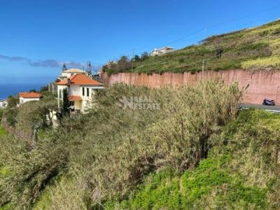 Acheter Terrain 510 m2 Calheta