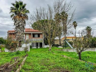 Vente Maison Cartaxo CARTAXO-E-VALE-DA-PINTA 14 au Portugal