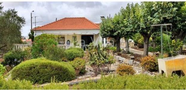 Annonce Vente Maison Cascais