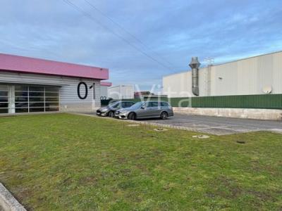 Annonce Vente Local industriel Sintra