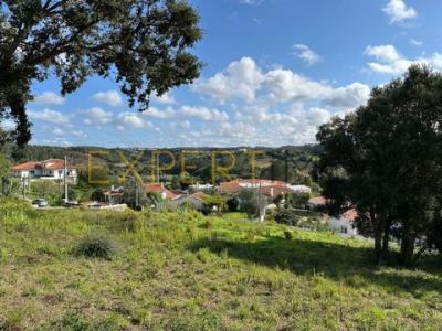 Vente Terrain Caldas-da-rainha SALIR-DE-MATOS 10 au Portugal