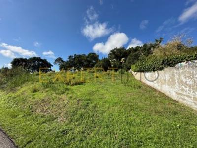 Acheter Terrain 3330 m2 Caldas-da-rainha