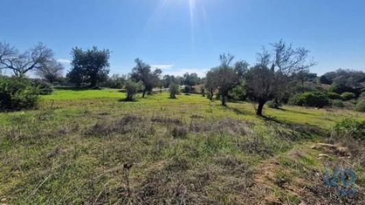 Annonce Vente Terrain Almancil