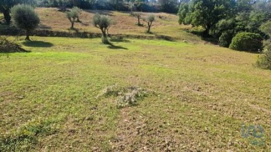 Acheter Terrain 1800 m2 Almancil