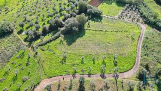 Vente Terrain Penela PODENTES 06 au Portugal