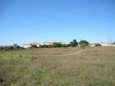 Acheter Terrain 18800 m2 Montijo