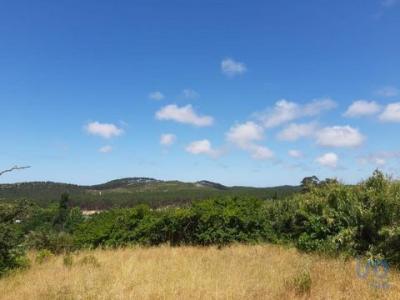 Vente Maison Nazare VALADO-DOS-FRADES 10 au Portugal