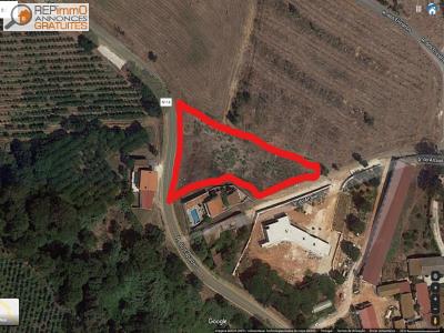 Annonce Vente Terrain Caldas-da-rainha