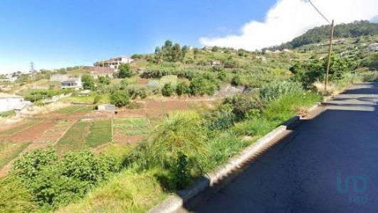 Annonce Vente Terrain Ponta-do-sol