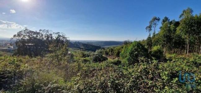 Annonce Vente Terrain Mafra