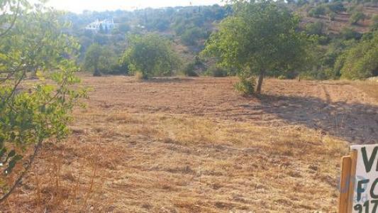 Acheter Terrain 5000 m2 Loule