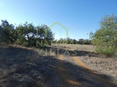 Acheter Terrain 8550 m2 Faro