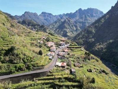 Acheter Terrain 950 m2 Ribeira-brava