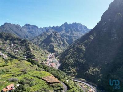 Vente Terrain Ribeira-brava SERRA-DE-AGUA 30 au Portugal