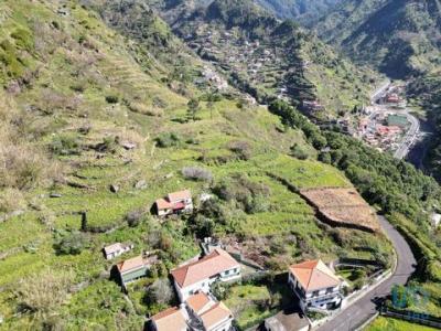 Annonce Vente Terrain Ribeira-brava