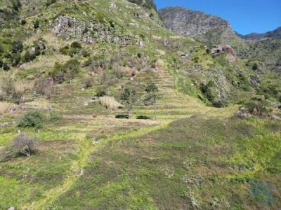 Acheter Terrain Ribeira-brava rgion MADEIRA