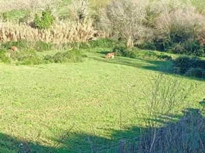 Annonce Vente Terrain Arruda-dos-vinhos