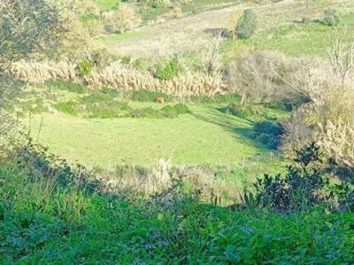 Acheter Terrain 6080 m2 Arruda-dos-vinhos