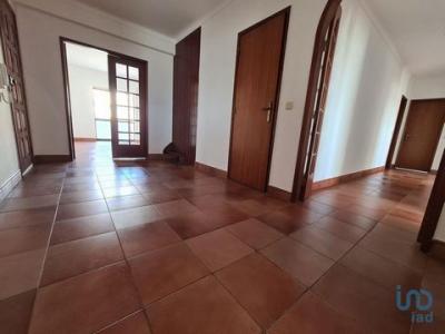 Acheter Appartement 188 m2 Caldas-da-rainha